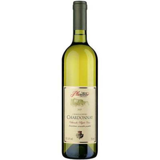 Slika Belo vino Plantaže Chardonnay 0.75l