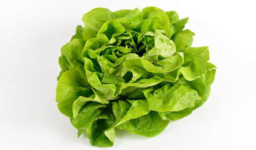 Slika Salata zelena