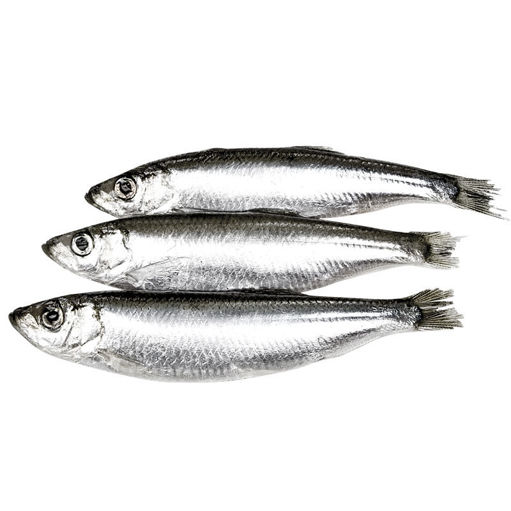 Slika PAPALINA rinfuz