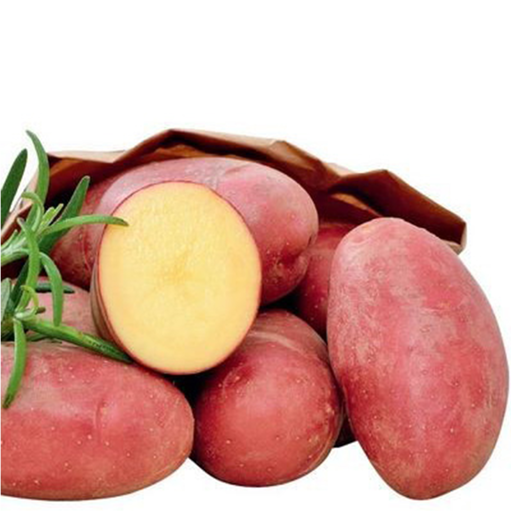 Slika Krompir crveni 1kg