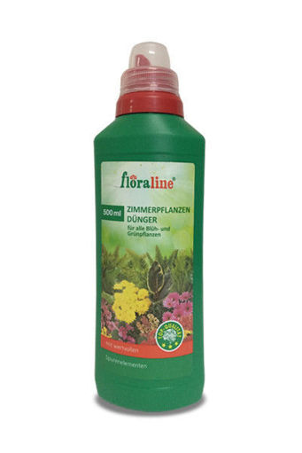 Slika Floraline zimmerpflanzen 400