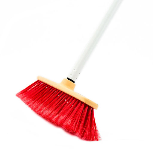 Slika METLA FRANCESINA