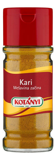 Slika Kari 50 g boca Kotany
