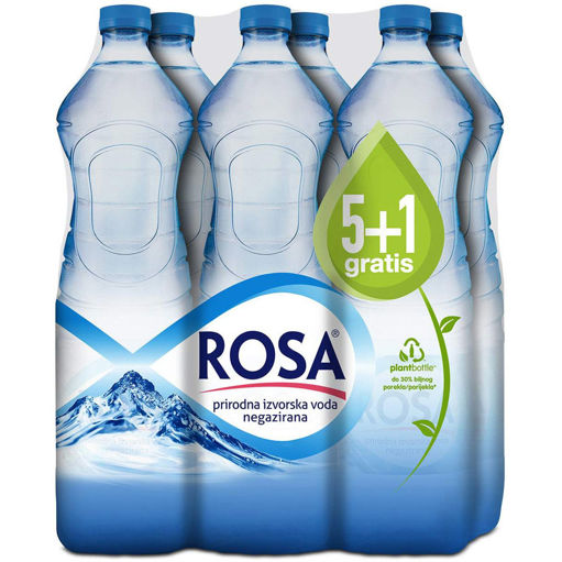 Slika Rosa 1.5 (5+1)