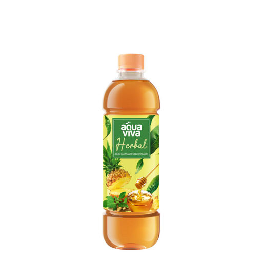 Slika Aqua viva Herbal Ananas 1.5
