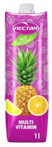 Slika Nije Svejedno 1 L Multivitamin TPA